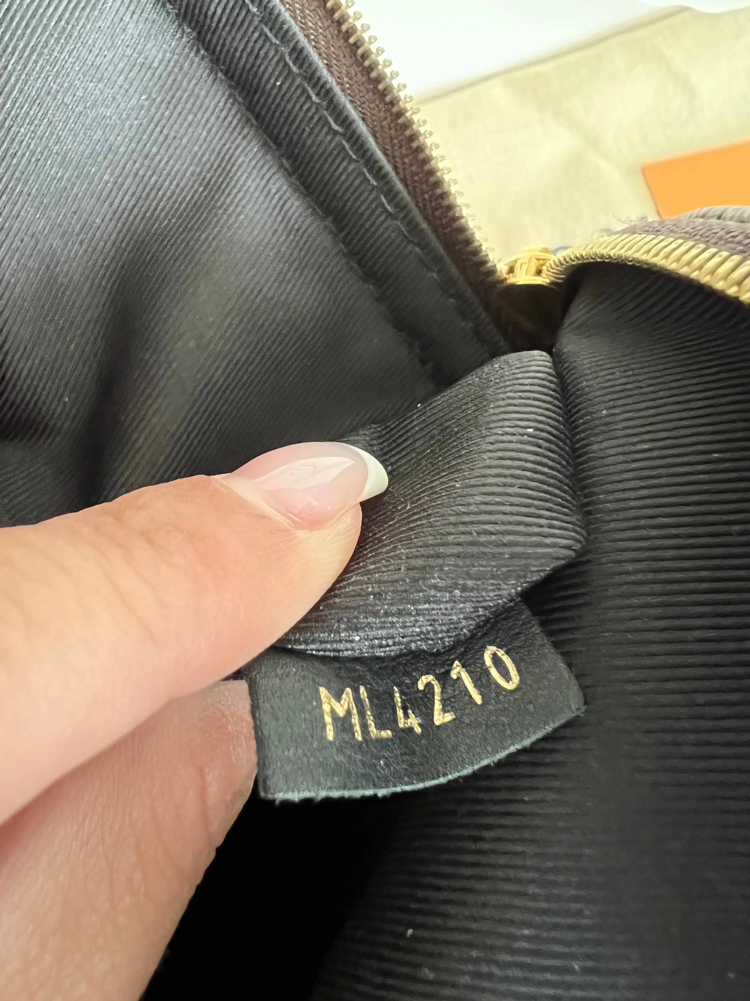 Louis Vuitton Palm Springs Mini Backpack