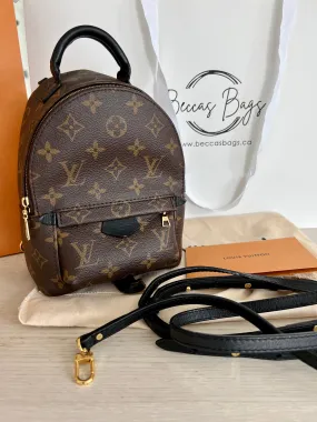 Louis Vuitton Palm Springs Mini Backpack