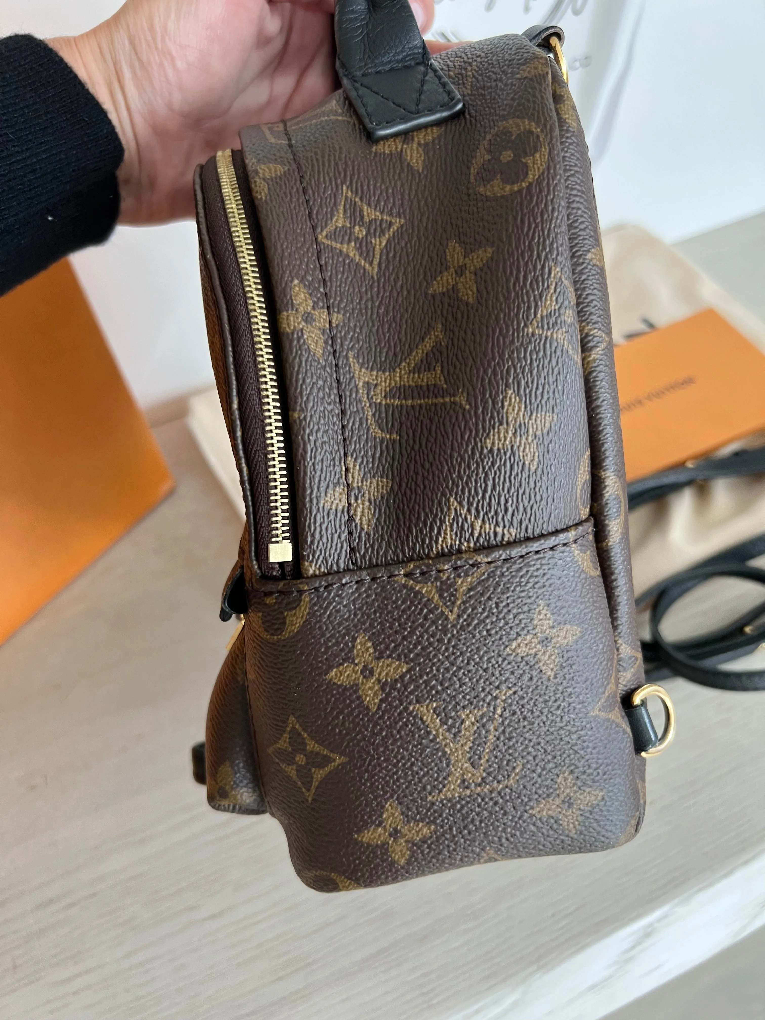 Louis Vuitton Palm Springs Mini Backpack