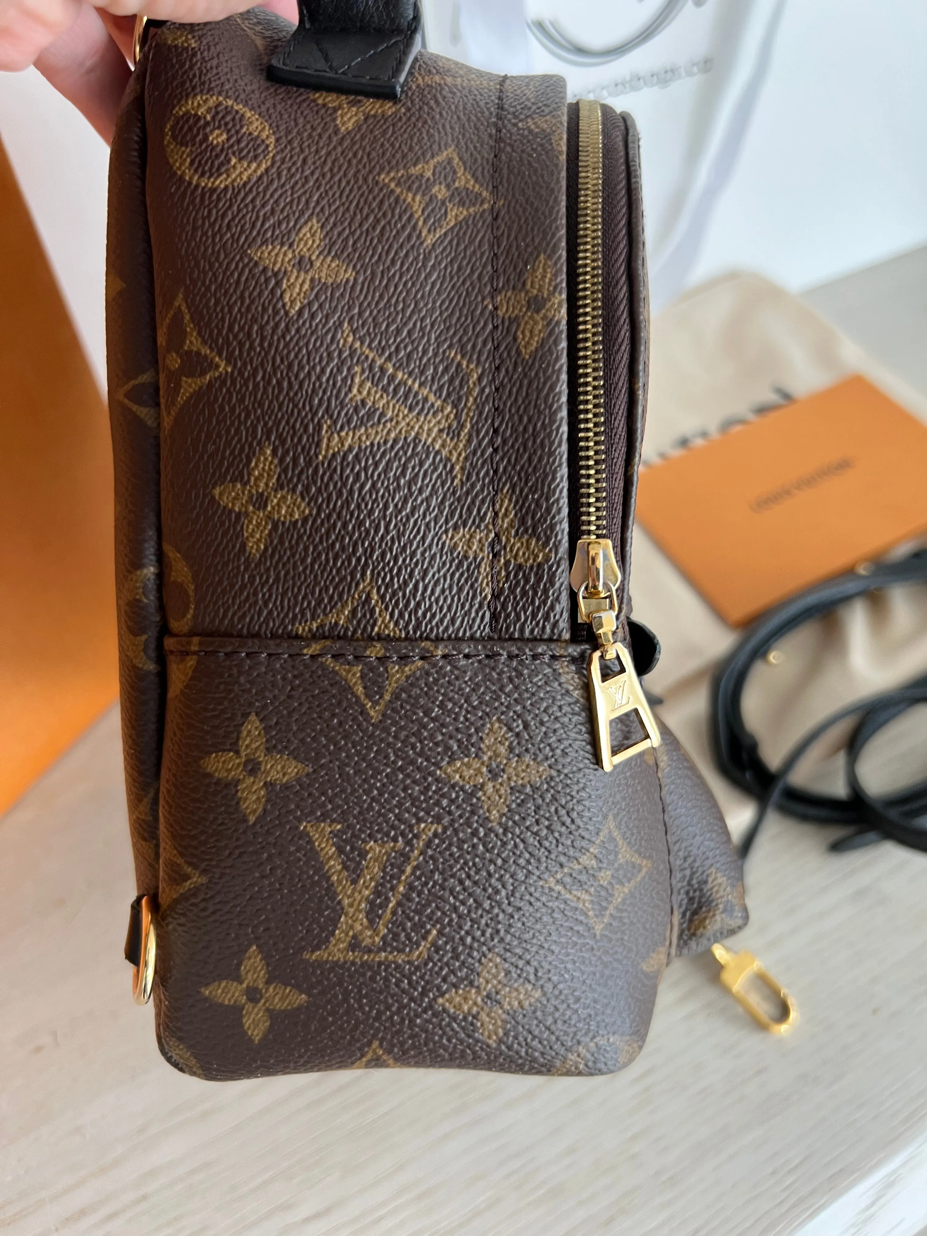 Louis Vuitton Palm Springs Mini Backpack