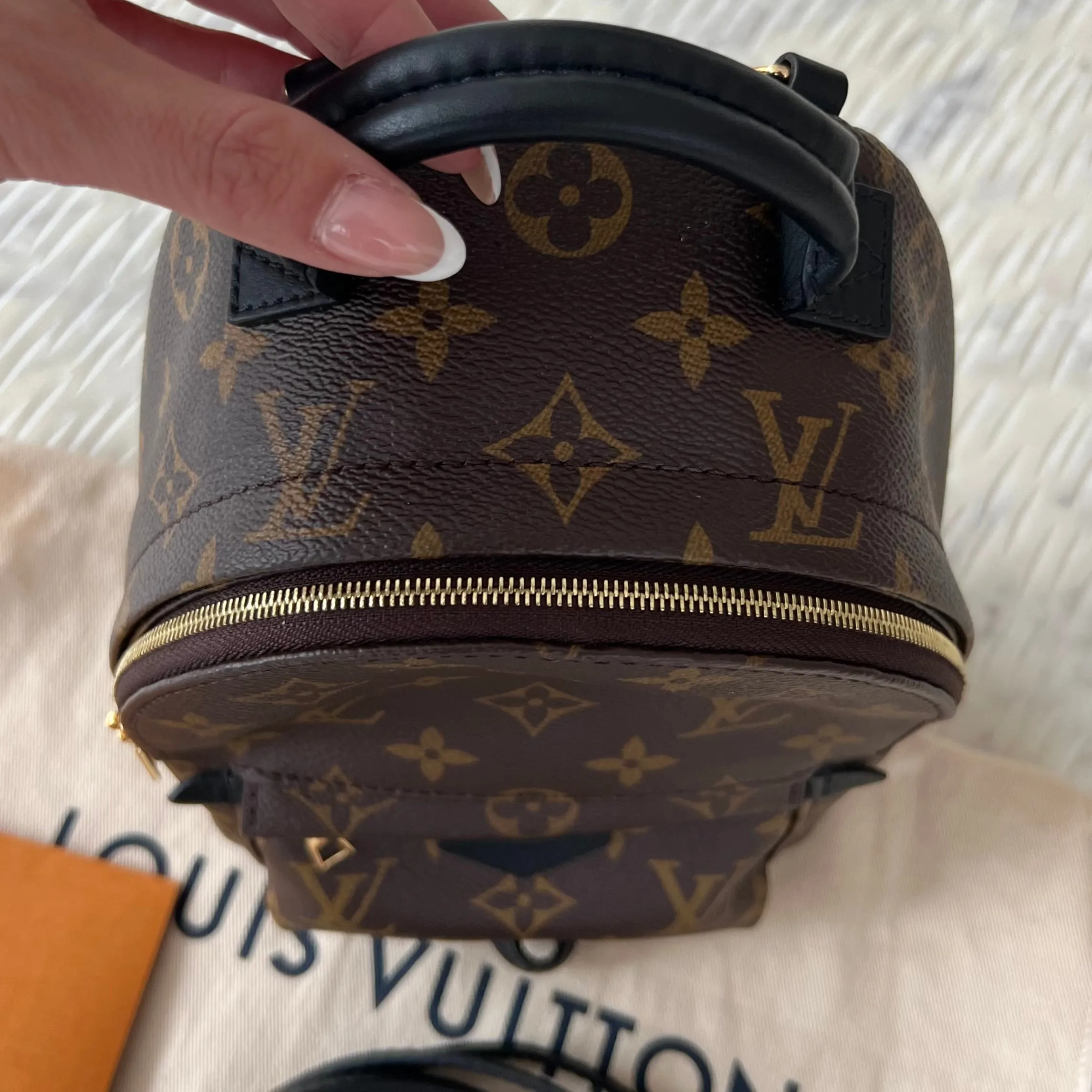 Louis Vuitton Palm Springs Mini Backpack