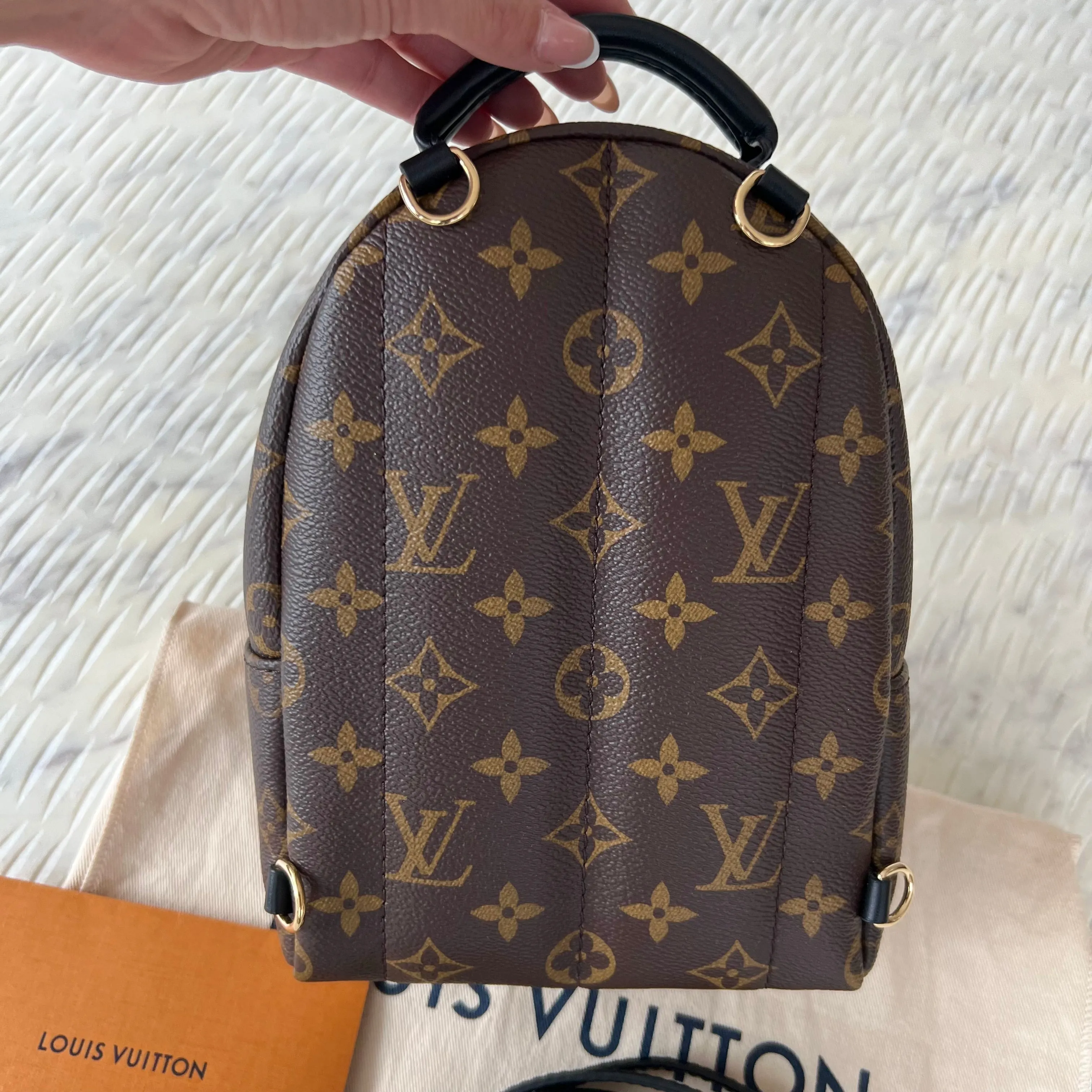 Louis Vuitton Palm Springs Mini Backpack