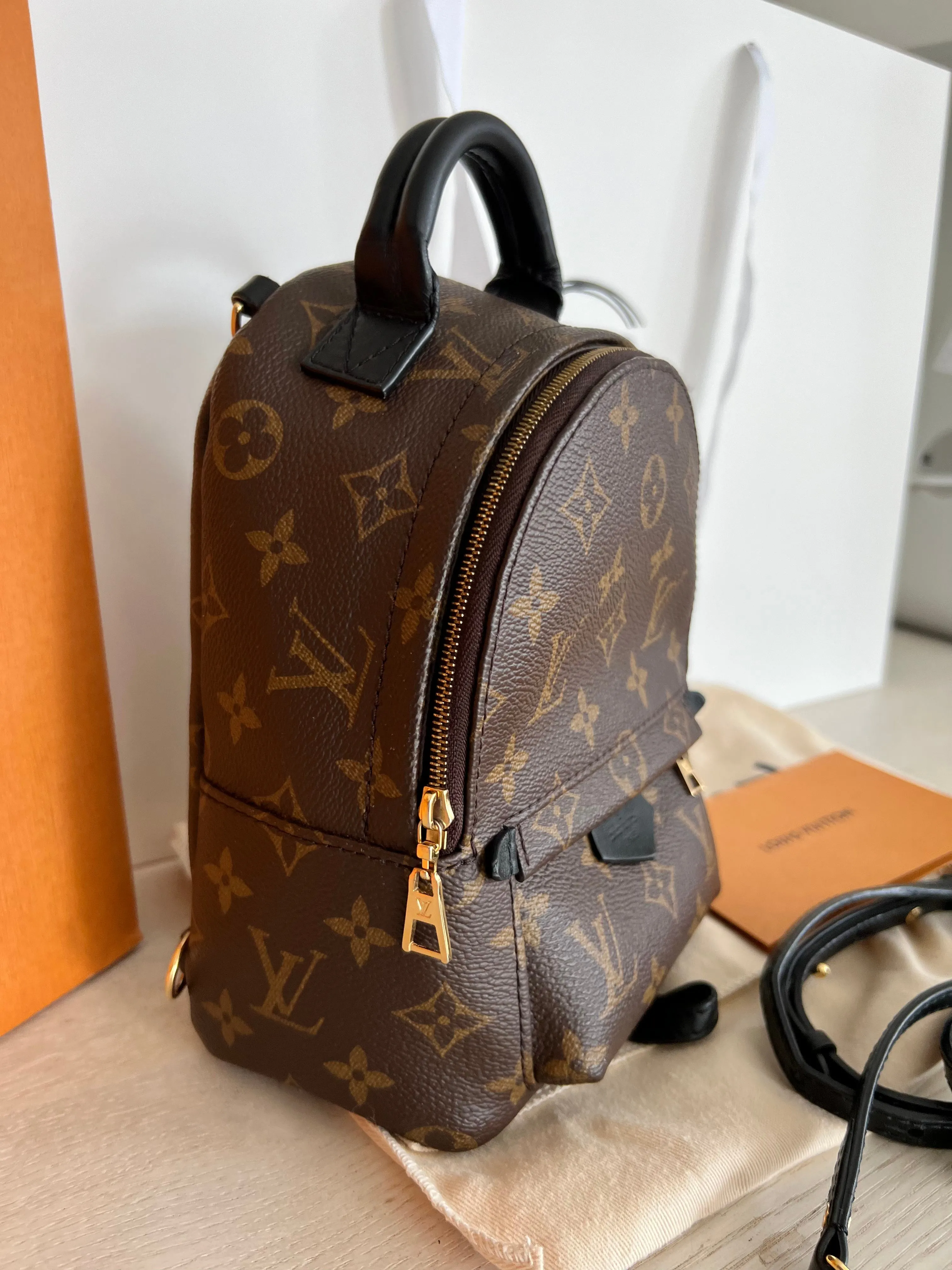 Louis Vuitton Palm Springs Mini Backpack