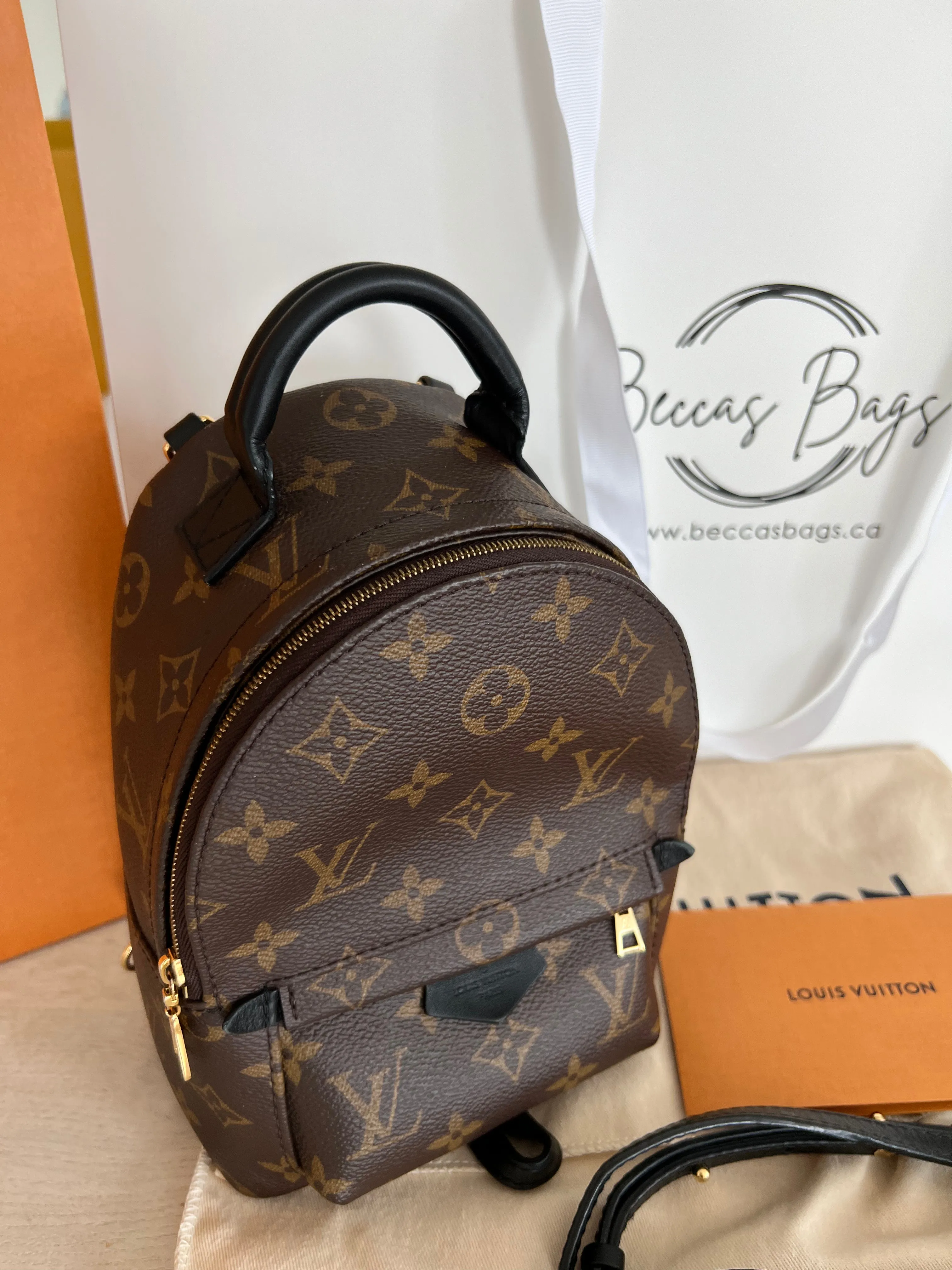 Louis Vuitton Palm Springs Mini Backpack